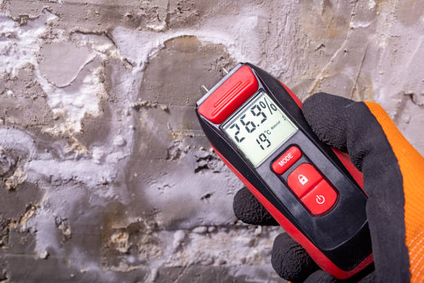 Best Commercial Mold Remediation in Three Rivers, OR
