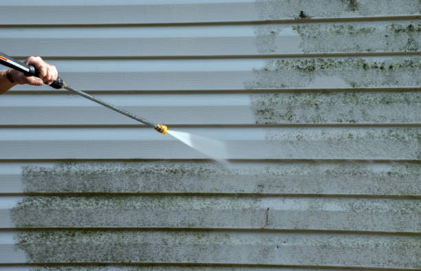 Best Mold Remediation for Specific Building Types in Three Rivers, OR